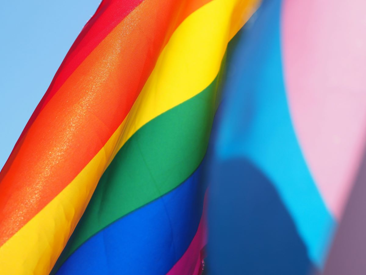 LGBTQIA+ flag