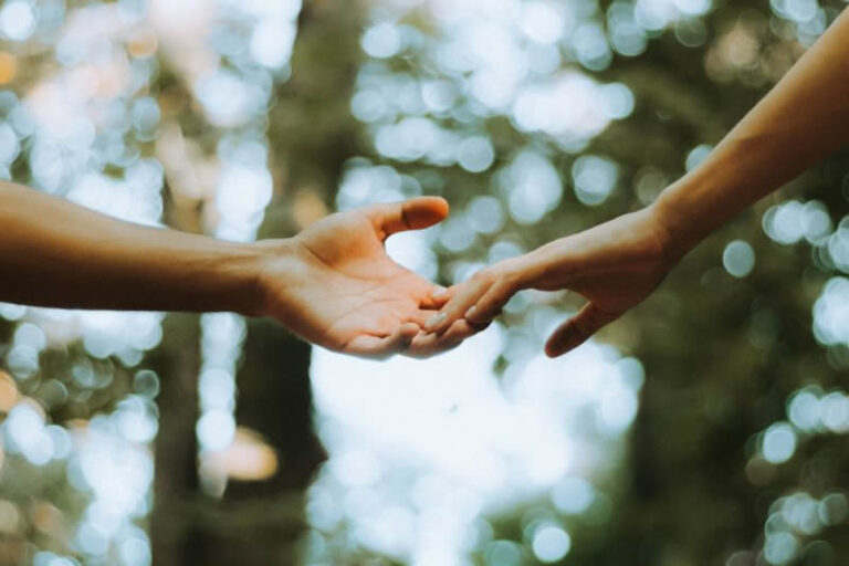 two hands reaching out to each other in a wood