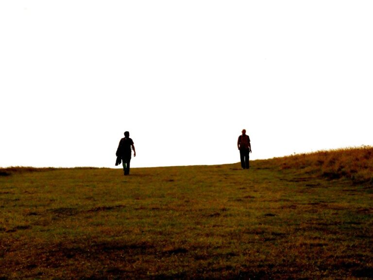 Two people walking apart across a grassy hilltop, seen in silhouette